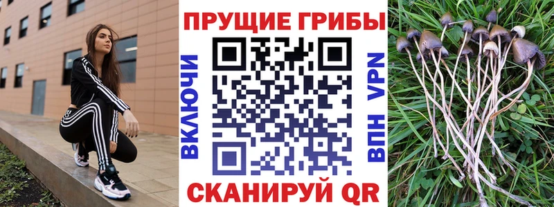 даркнет сайт  Отрадное  Псилоцибиновые грибы ЛСД 